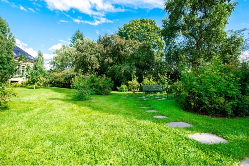 Plant and Tree Services in Littleton Colorado