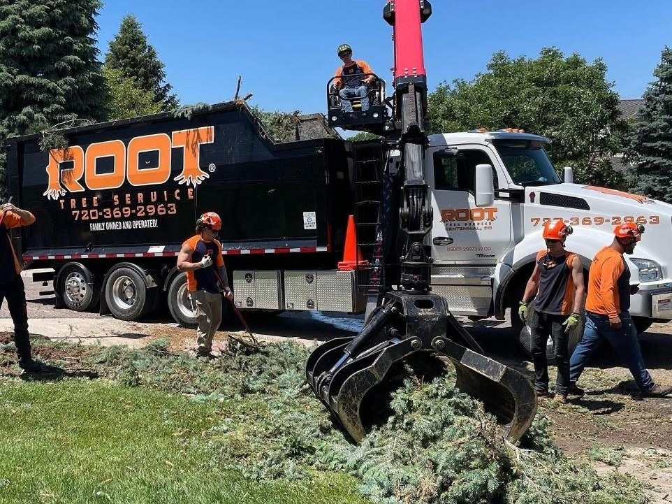 Plant and Tree Services in Centennial Colorado