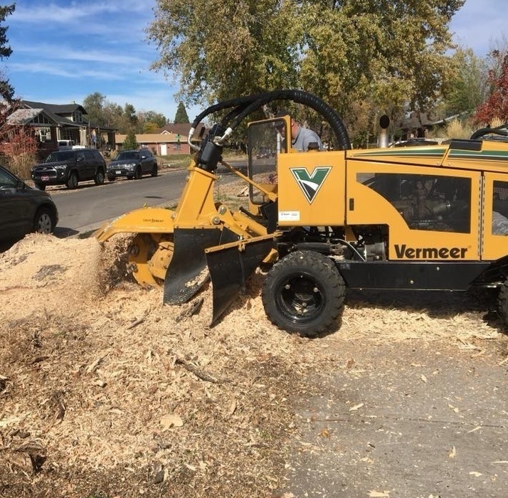 Plant and Tree Services in Parker Colorado