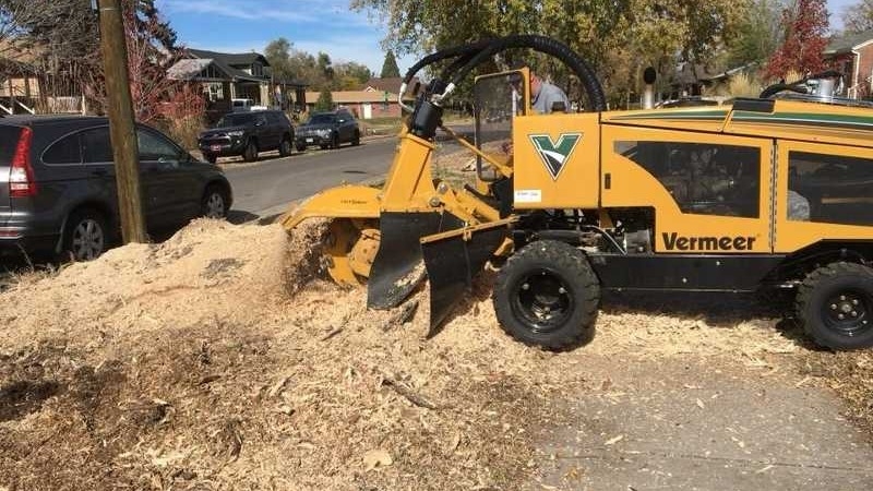 stump Grinding in Colorado